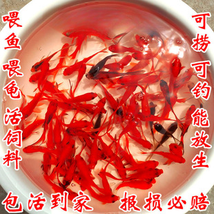 ������С�~��ˮ���B���ͻ����ˮ�~�^�p�~����С���~���~��һ��