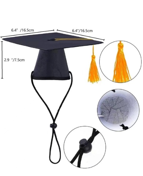 微信截图_20240419091531