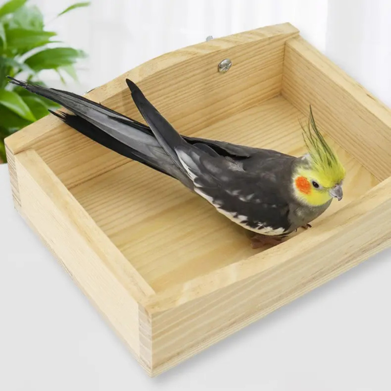 オウムインタラクティブテーブルスタンド、楽しいインタラクティブオウムアクティビティ、鳥の巣休憩テーブル、繁殖テーブル、かわいいメーカー直販|undefined