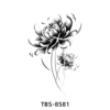 TBS-8581