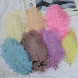 �F؛���l��ɫ�r�Bë15-20cm�Ҿ��b�޾Ƶ��b[����c�r�B��ë