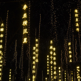 LED霓虹灯诗词条幅创意户外发光字复古街道吊串树木亮化景观防水-阿里巴巴
