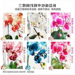��������m�����z������ٻ����ϻ��͏d�[�O�ɻ��b[��