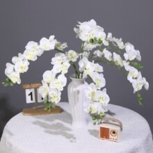 ɫm滨羳9^zƬ߼лYˇ廨b