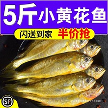 小黄花鱼新鲜海捕冷冻大小黄鱼深海鱼鲜活海鲜水产