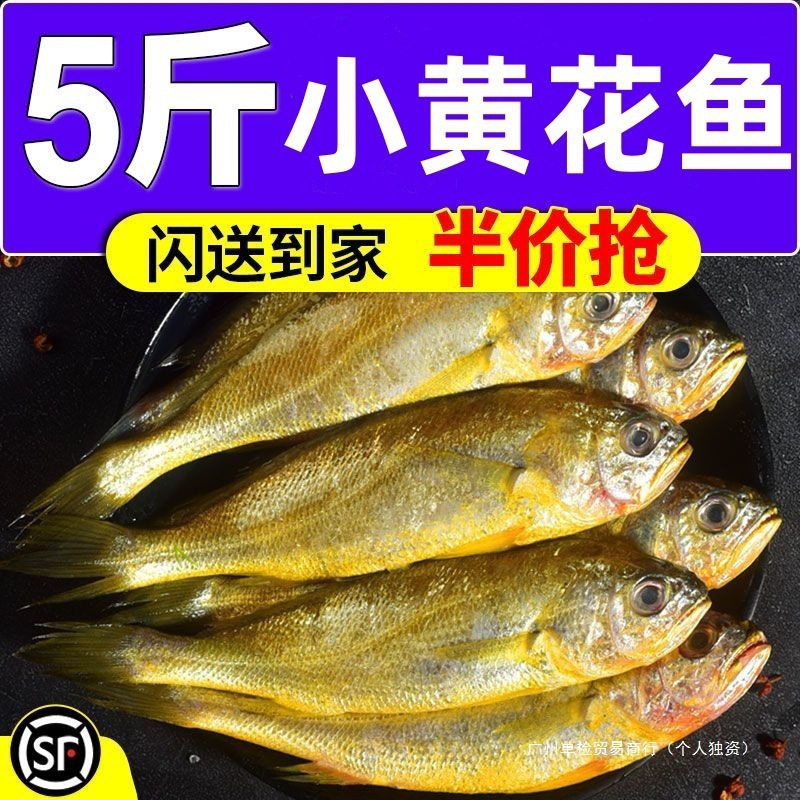小黄花鱼新鲜海捕冷冻大小黄鱼深海鱼鲜活海鲜水产