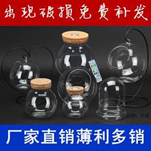 创意苔藓微景观玻璃花瓶透明高硼硅玻璃吊瓶 微观DIY盆栽生态瓶子