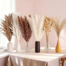 �羳���u�ɻ�������˹��β��С�JȔ�����ׁ��L����DIY�Ҿ��b�