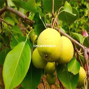 ���� ����N�� ���� ������ Ұ�������� �Ϸ����N��