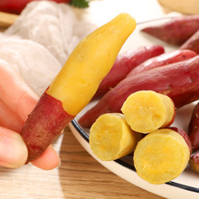 ���R���}�l؛����ĿС����5�����С�����ع�ެ��С������ָ�й�