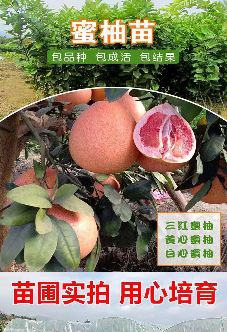 gm6Wj/KhytS4s84XTF4hjIj3ghnGDOzBPQeg