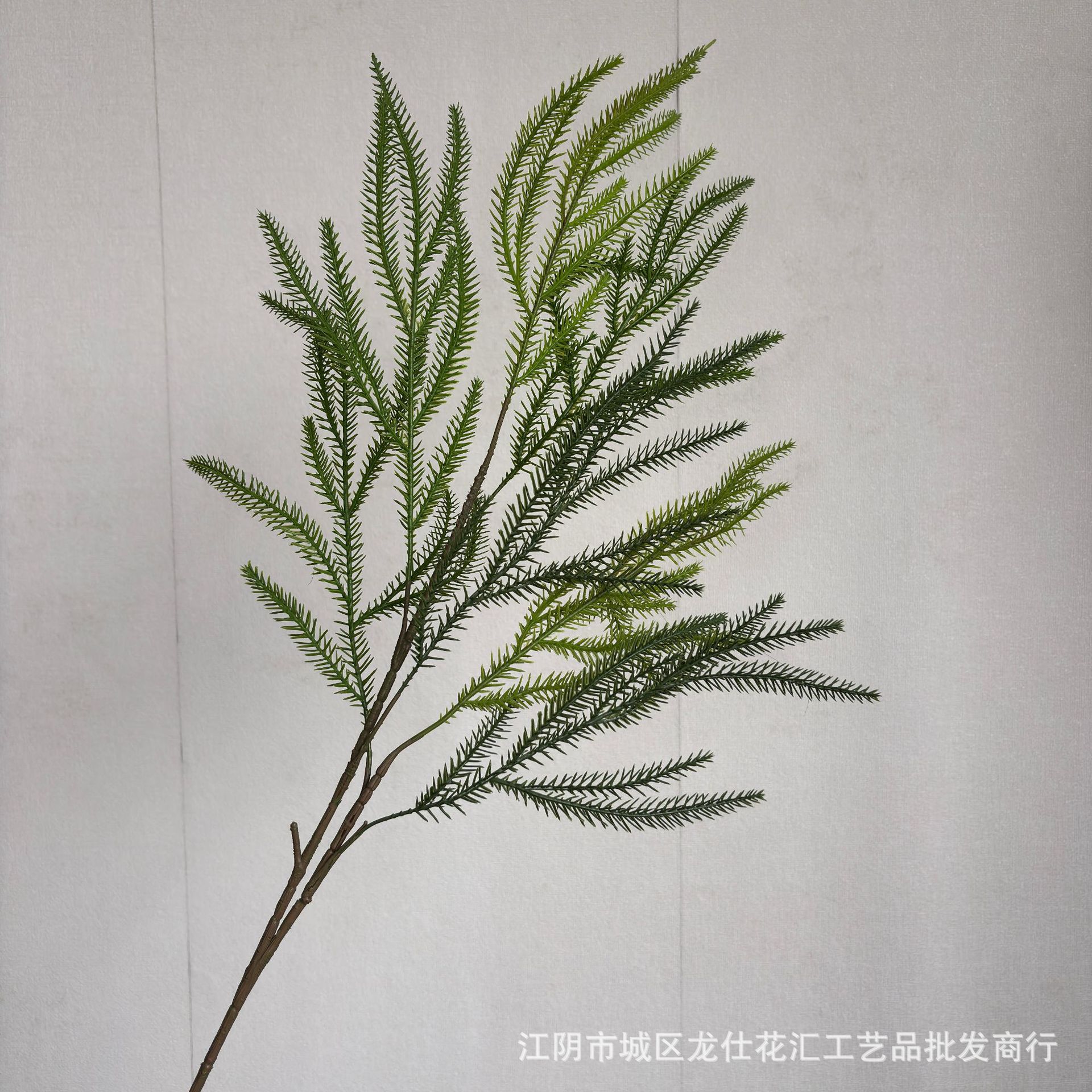Cedro medio
