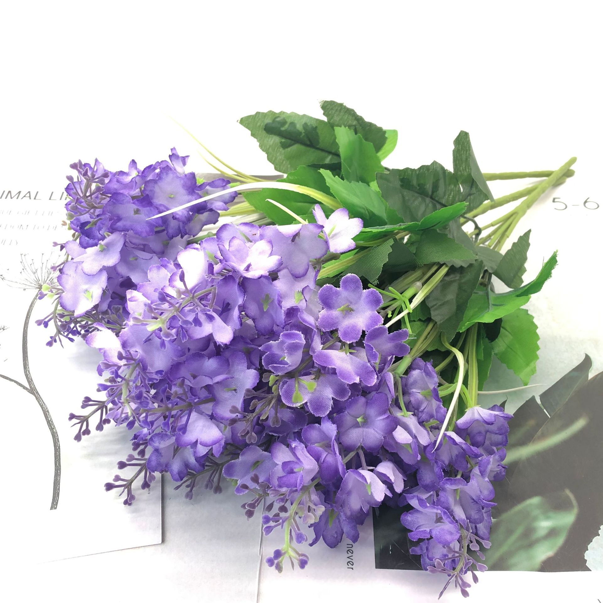 fd2835257035a4a5844f10d691644a