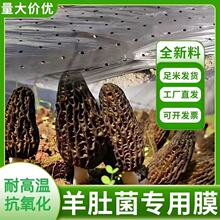 ��Ǿ���ɫ��׵�Ĥ����w���ر���͸��С�׵�Ĥ