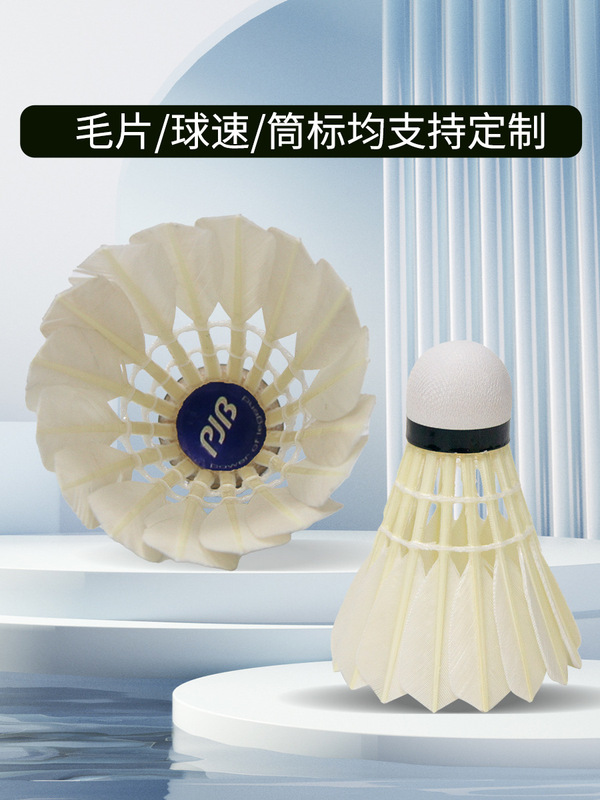 77速鹅毛B级羽毛球现货批发稳定耐打羽毛球专业比赛OEM用球12只装|undefined