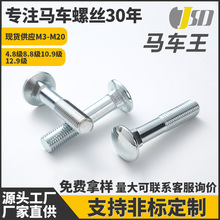 高强度马车螺丝半牙镀锌马车螺栓马车栓货架连接扁圆头方径螺丝