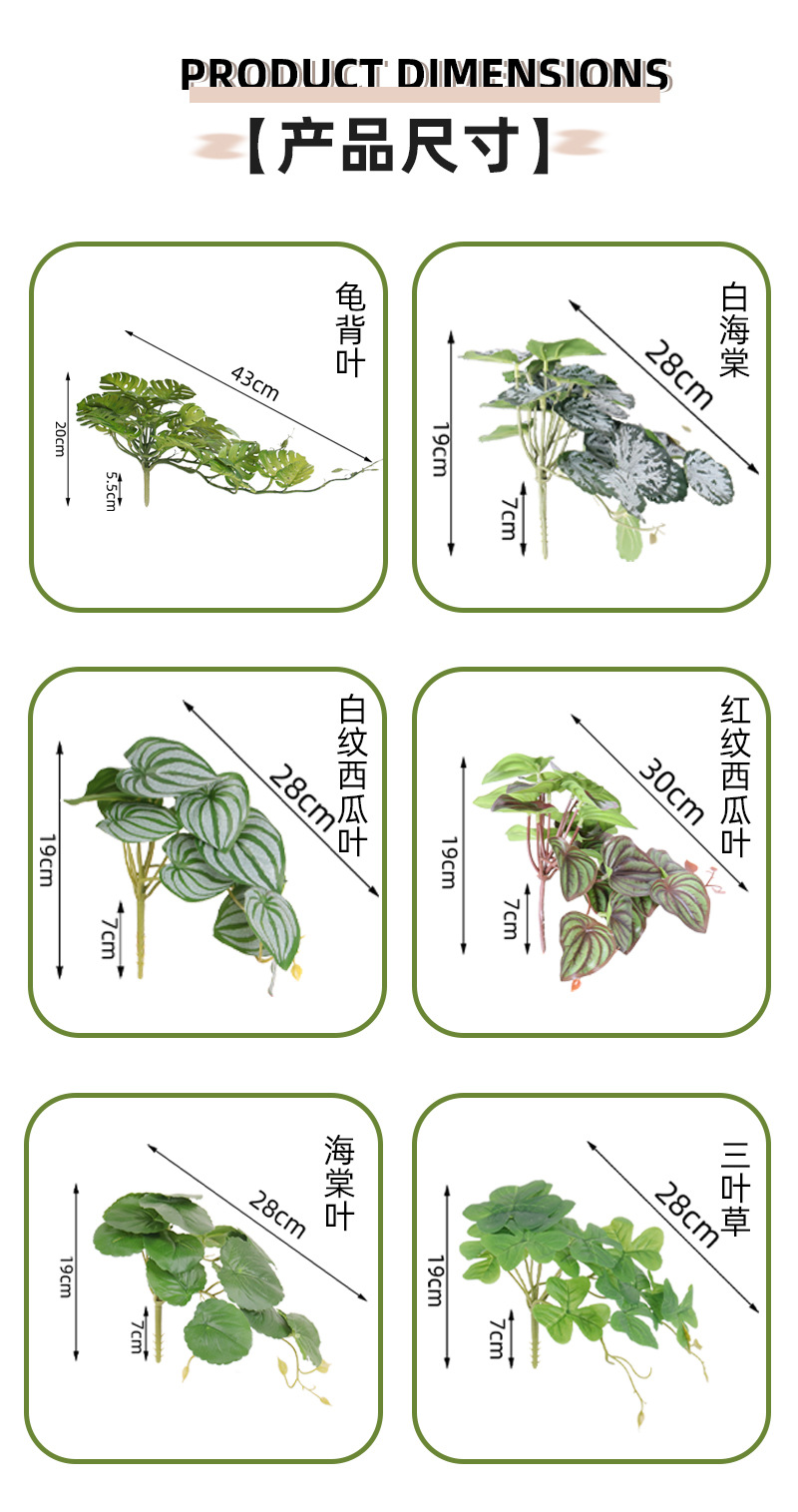 绿植盆栽