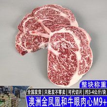 ����203�S���P�˼�Ѫ��ţ������M9+���ţ500��ԭ������ѩ��ţ��