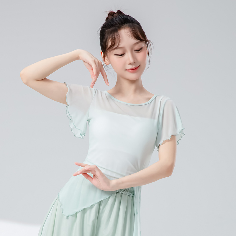 古典舞蹈服女新款钉花飘带修身短袖网纱花朵上衣飘逸演出练功服装|undefined