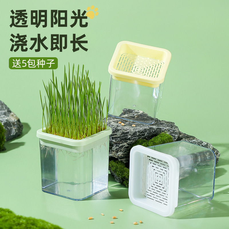 Original Cat Grass Potted Cat Hair Grass Wheat Seed Seedling Tray Soilless Hydroponic Cup Lazy Cat Grass Planting Box