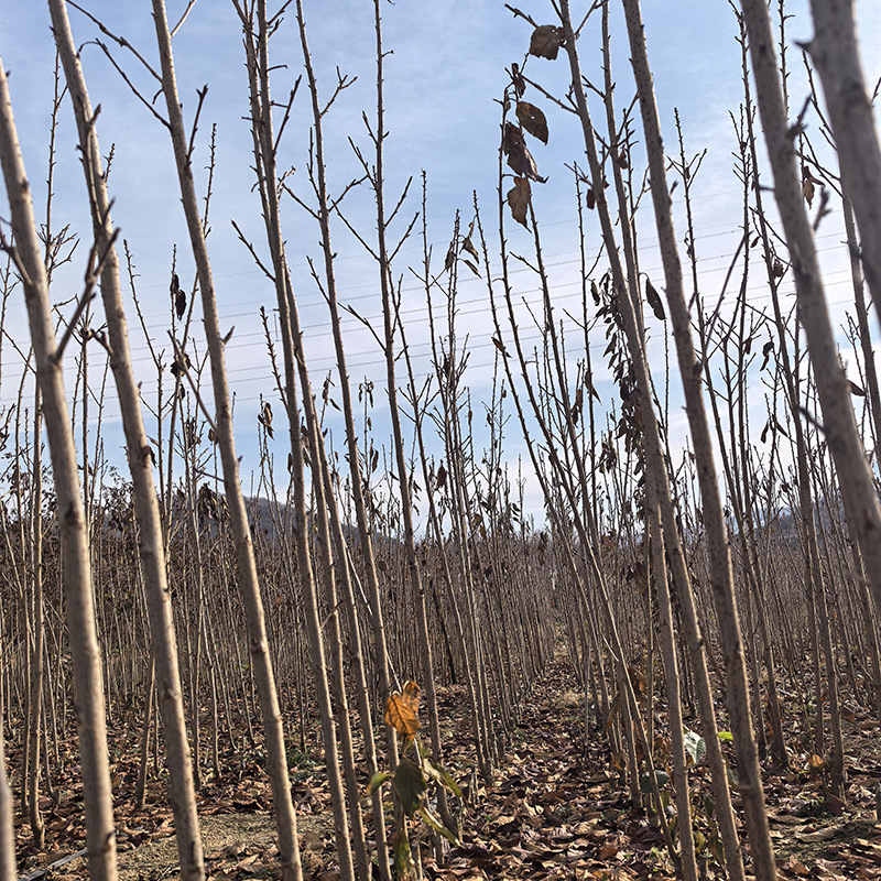 dd5f3d3f-7403-4067-abf9-7bccaf