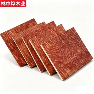 建筑模板木板工地覆膜清水模板墙体梁柱桥梁隧道工程建筑模板木板