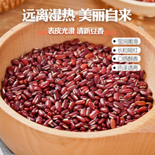 ��ճ�С����؛����r�ҳඹС�t���ǼtС��޲�׶�ɳ�ּZ����s�Z