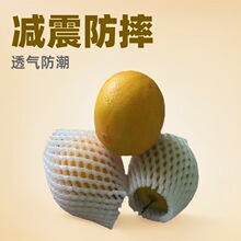 ˮ���W�׽����M��Ě���\ݔ���o��EPE�����ޜp���Ħ����̾W��