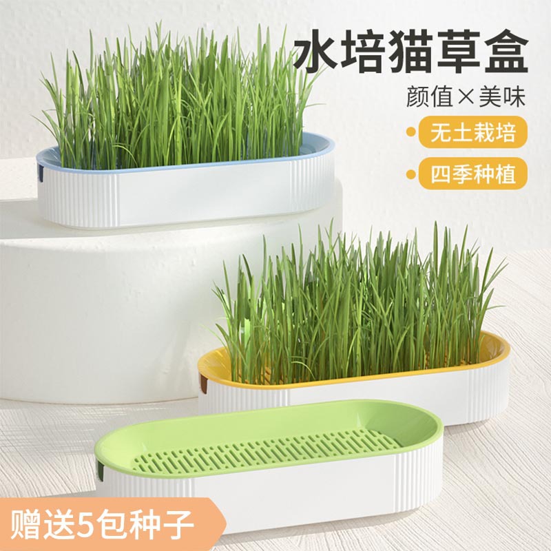 Cat grass catnip potted hydroponic hairy ball grass seeds have not been planted Lazy kitten snacks cat supplies