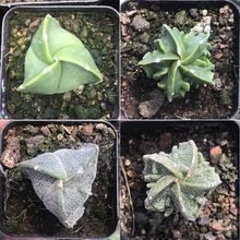 �����yɳ�����[�P�������Ľ���Ǻ�����������Ȥ����ÿ�