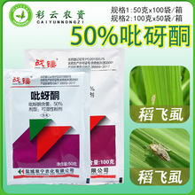 �}���p�� ���N 50%����ͪ �ɝ��Էۄ�ˮ�����wʭ�rș���x��50��