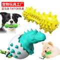 宠物用品工厂家批发公司新爆款亚马逊磨牙棒牙刷发声恐龙蛋狗玩具