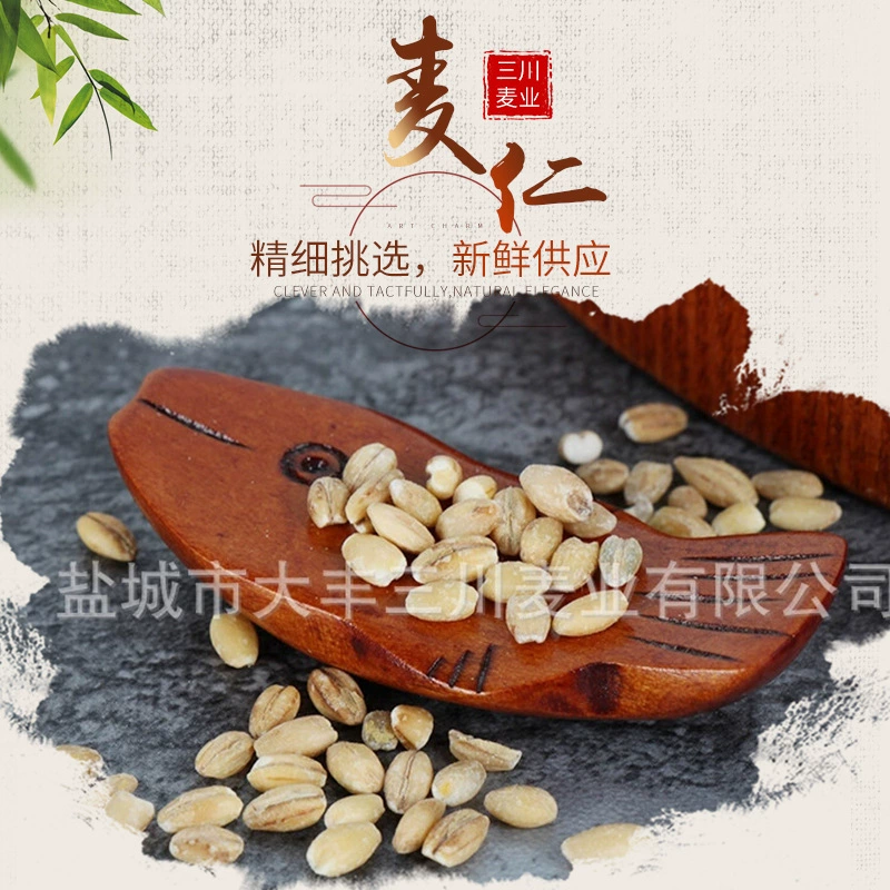 Зерновые зерна ячменного риса и ядра ячменя.