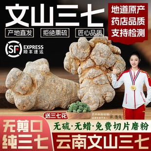 ��ɽ��������Ş�����ϟo���������^����Ƭ���߷�