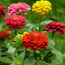 ղݷNļN_׻ͥԺ̨ԻɫվջN