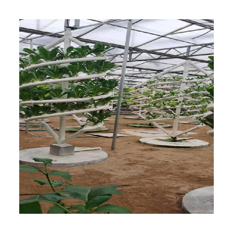 Instalaciones de cultivo sin suelo de invernadero nutrición hidropónica tridimensional plantación de ranura en espiral de doble tubo cultivo sin suelo en espiral grande