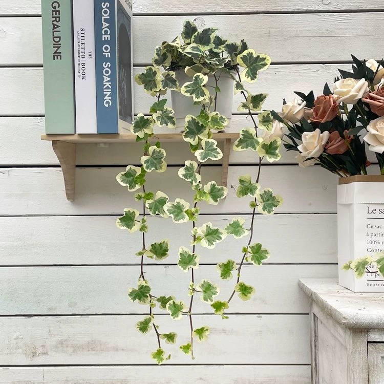 Снежный плющ в горшке, офисный стол, бонсай, подвесная корзина для внутреннего балкона, легкое в уходе зеленое растение для новоселья, новый дом, прямая продажа с фабрики.