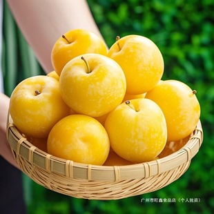 �SƤ����������������Ӯ������r�ЋDˮ������ڲ��������������