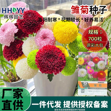 rշNСNСմ҃ͥԺԻܷN