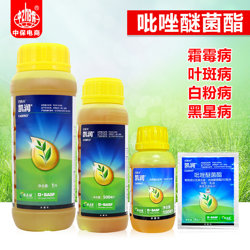 凯润25%吡唑醚菌酯黄瓜果树霜霉白粉叶斑炭疽病杀菌剂500ml*4瓶