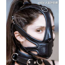 情趣面罩口罩变装伪娘调教堵嘴嗨嗨哒捆绑sm头套眼罩口球口球