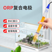 爆款ORP复合氧化还原电极探头 BNC接口水质检测仪水产养殖游泳池
