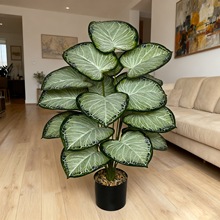 �羳����Gֲ���Ե�ˮ�^����������҃���Ӽ٘�[�O�bҾ��辰