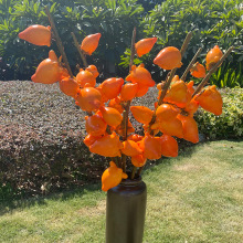 Sc滨ĭʯӰlؔ͏dbٻͬù