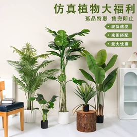 仿真绿植;仿真花;仿真枝叶和树