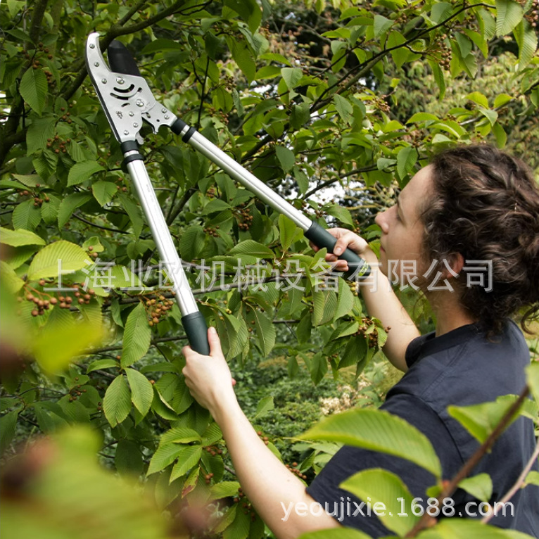 英国SPEAR & JACKSON高空伸缩园林园艺粗枝剪园林树枝棘轮大力剪
