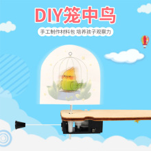 ��ѧʵ��diy�������׶��ֹ����Ʒ����Ƽ�С��������SETM�������