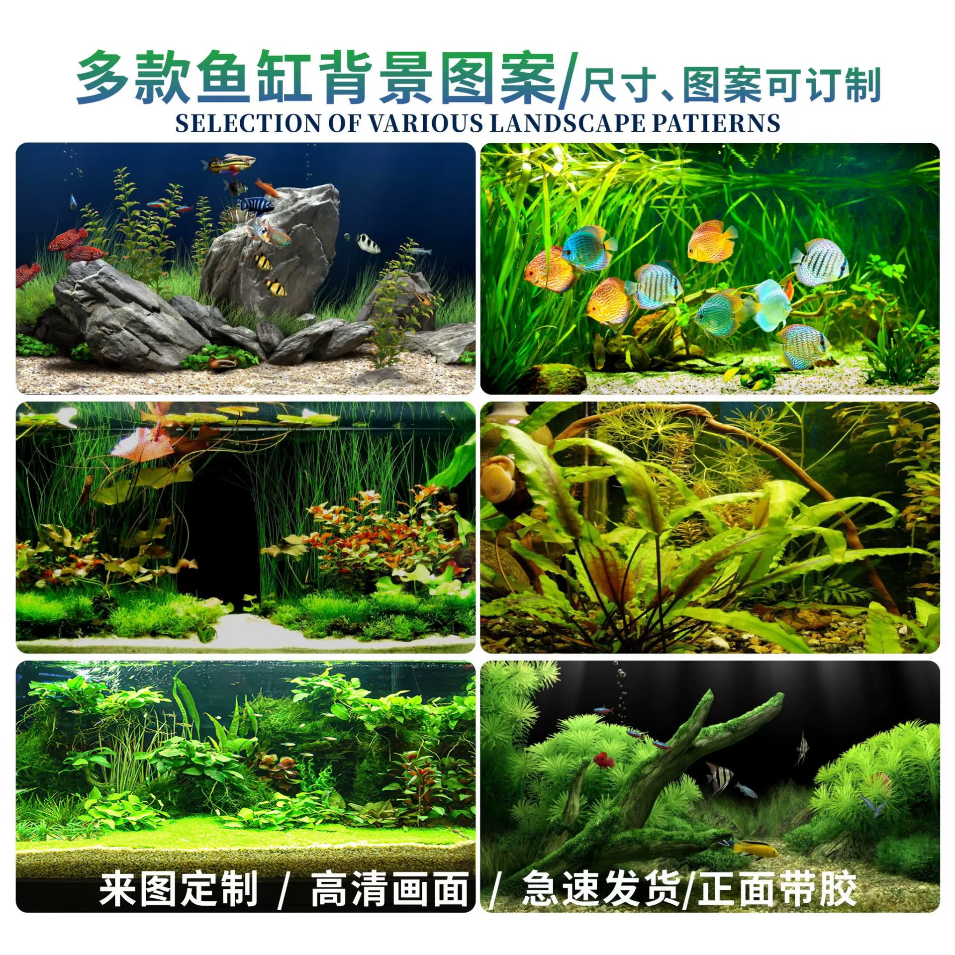 批发鱼缸背景贴纸水草高清图3d立体造景水族箱贴纸装饰画