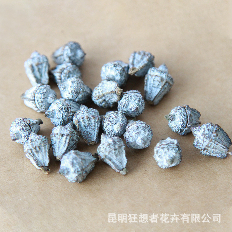 Quả bạch đàn (20 gram mỗi túi, khoảng 23 miếng)