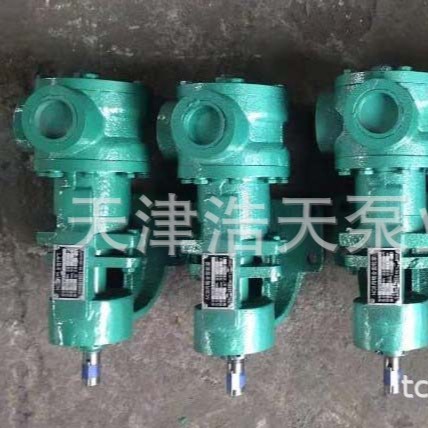 高粘度转子泵TDZN-1.8 内齿转子泵 涂料 树脂 胶水转子泵